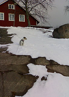 Watching over her domain.